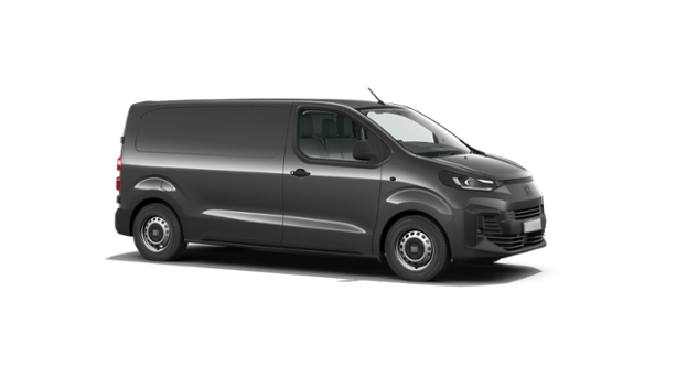 Fiat Professional